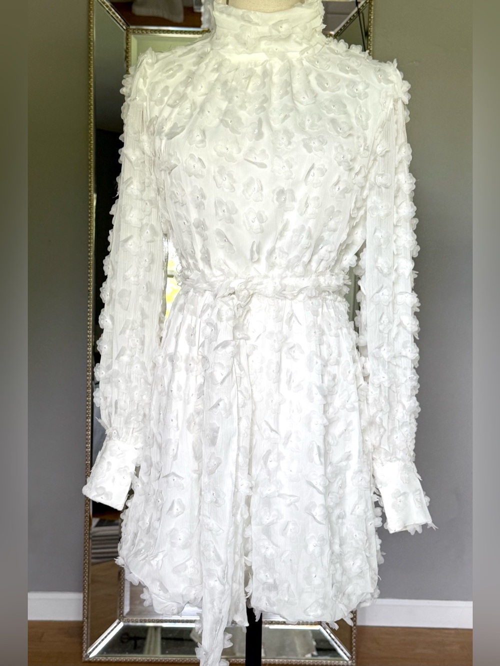 Badgley Mischka Eleanor Mock Neck Long-Sleeve Floral Appliqué Mini Dress Size: 4